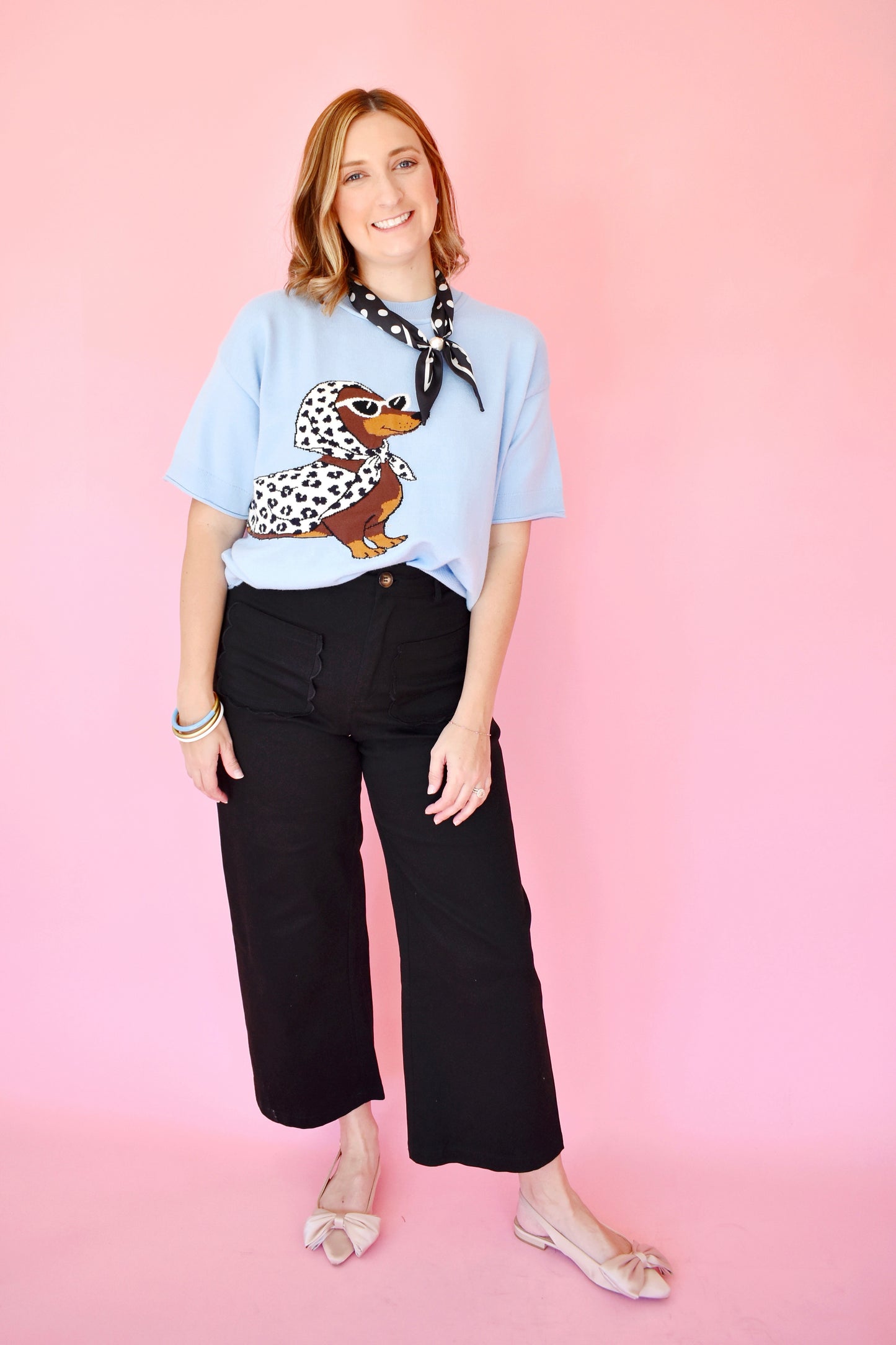Chic Dachshund Baby Blue Short Sleeve Sweater
