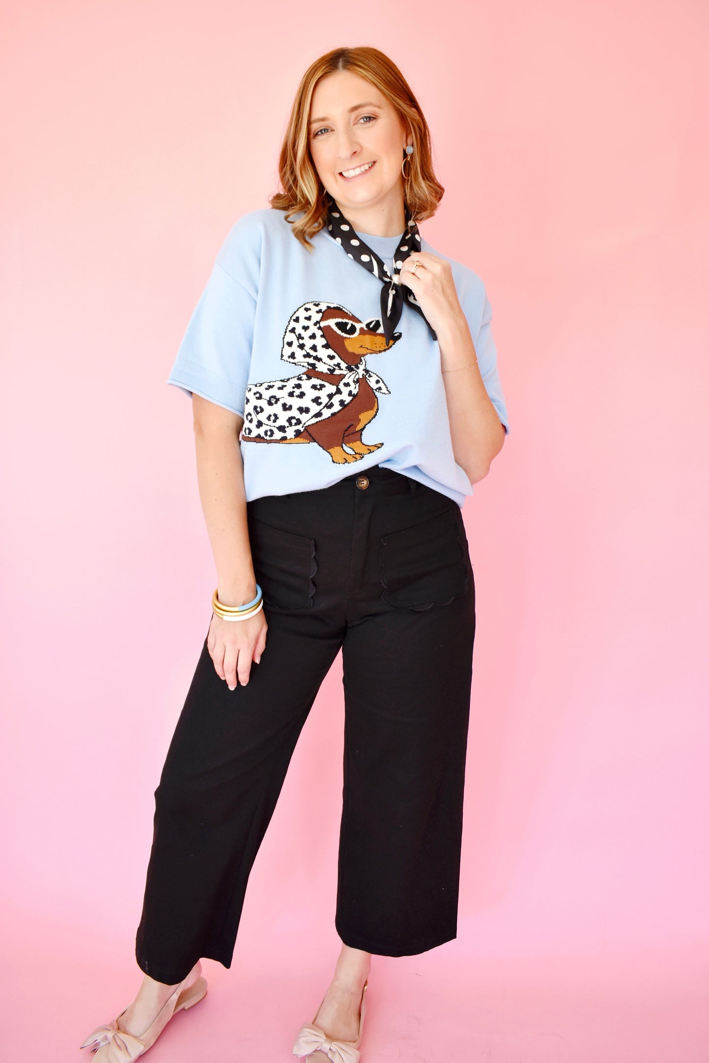 Chic Dachshund Baby Blue Short Sleeve Sweater