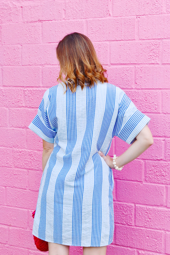 THML Blue Seersucker Stripe Dress