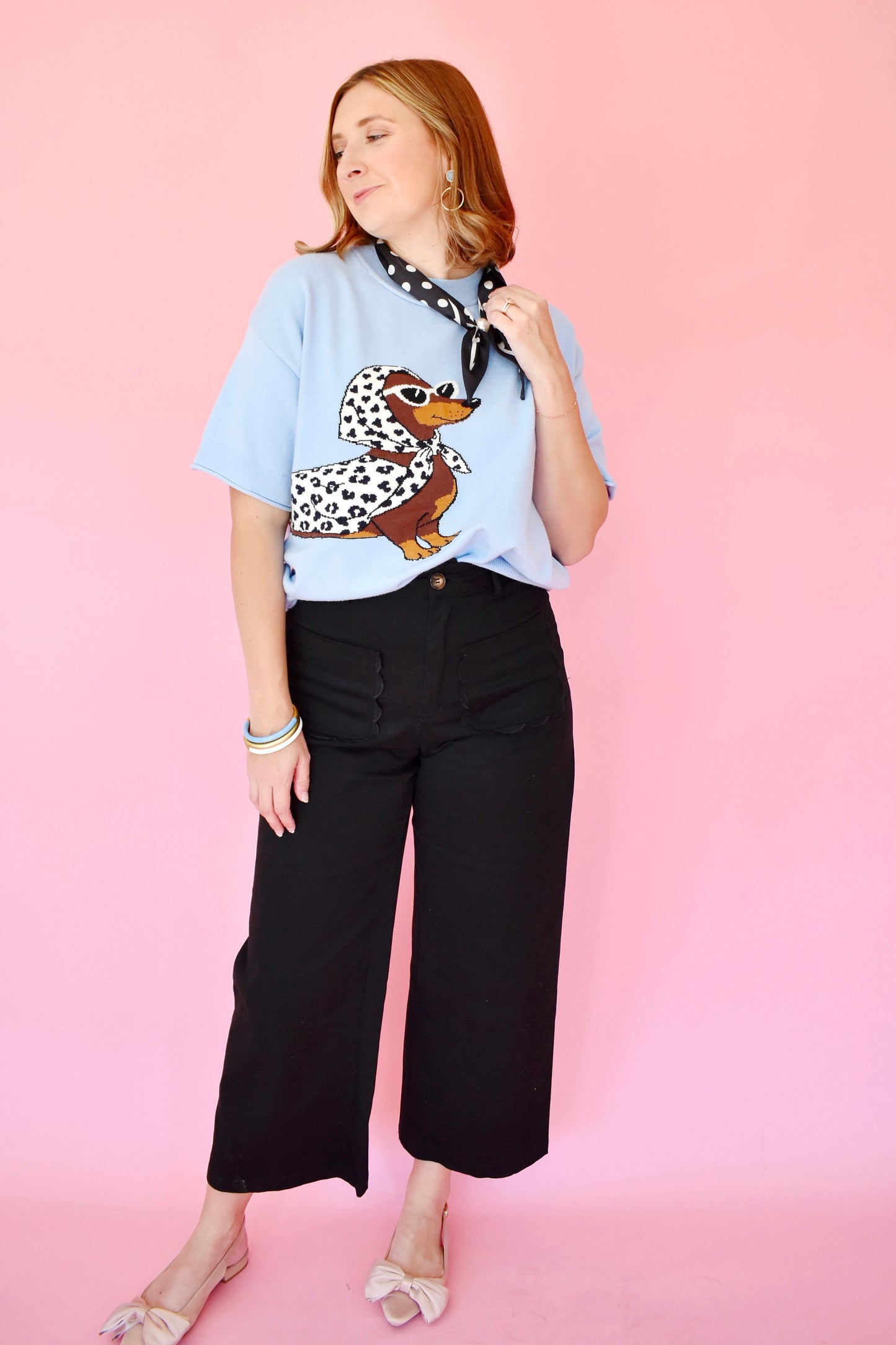 Chic Dachshund Baby Blue Short Sleeve Sweater
