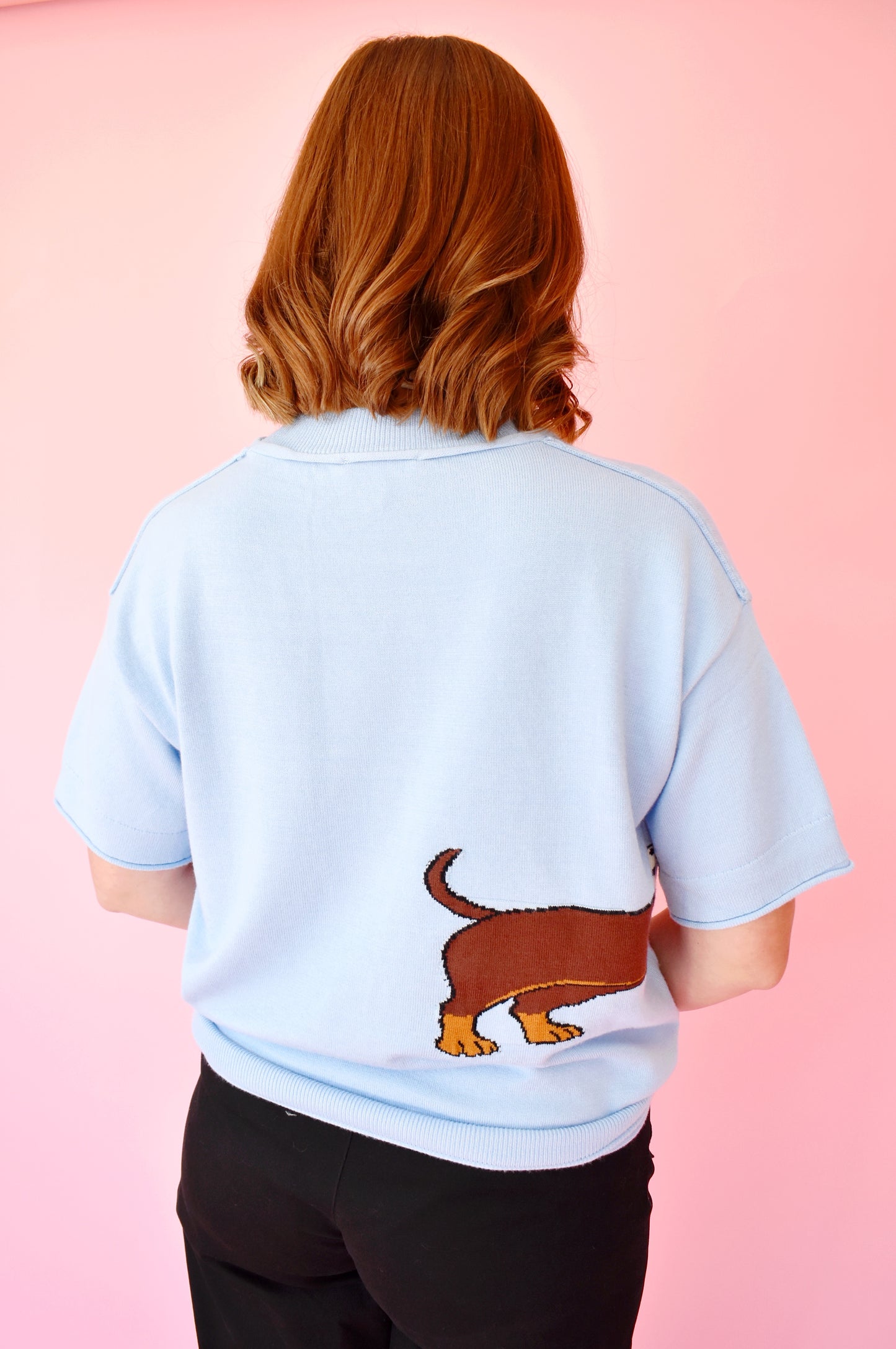 Chic Dachshund Baby Blue Short Sleeve Sweater