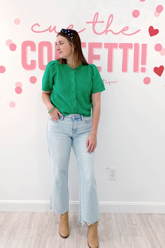 Aileeah Light Wash High Rise Slim Wide Jeans