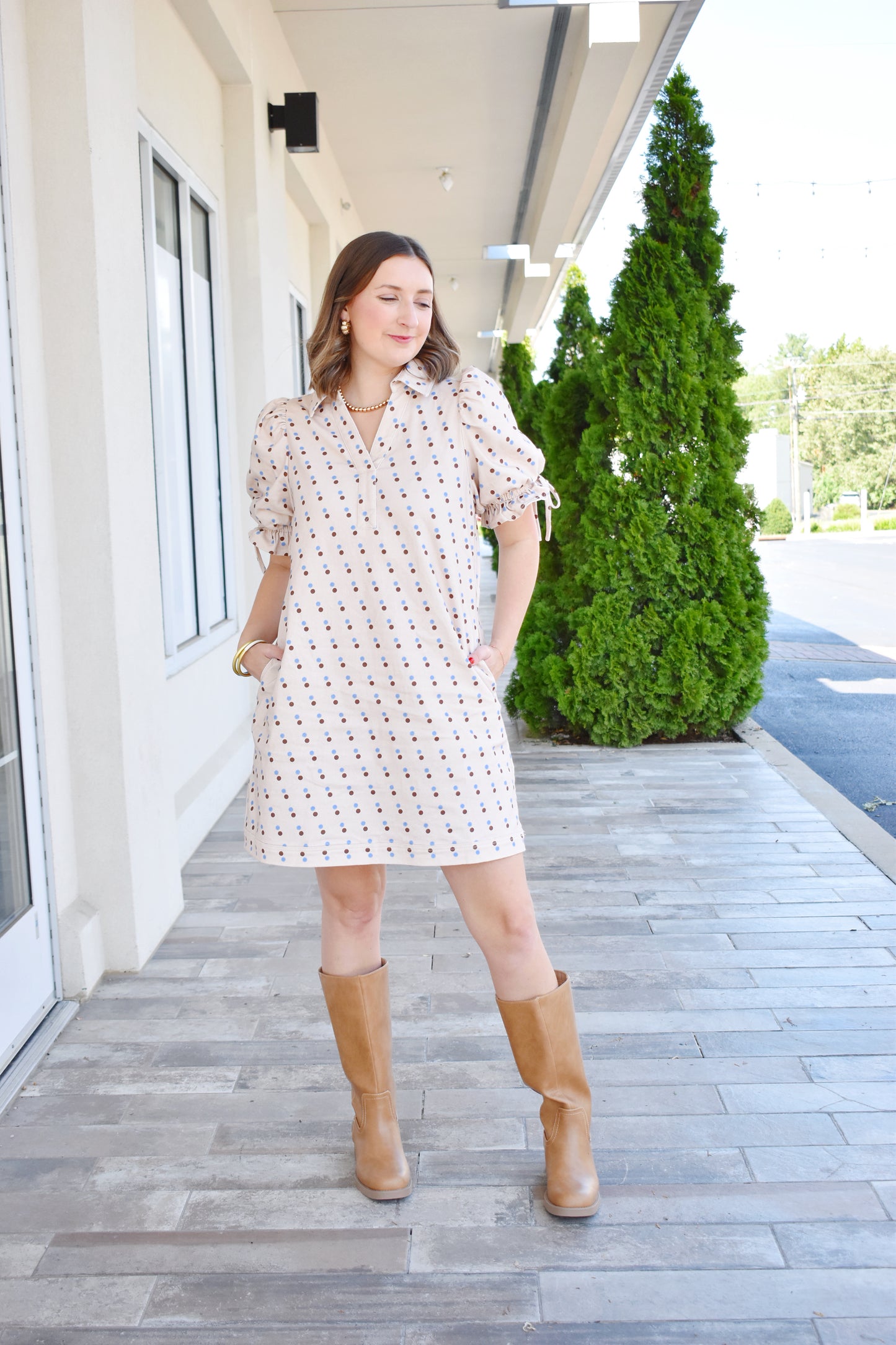 Ecru Denim Brown & Blue Polka Dot Dress