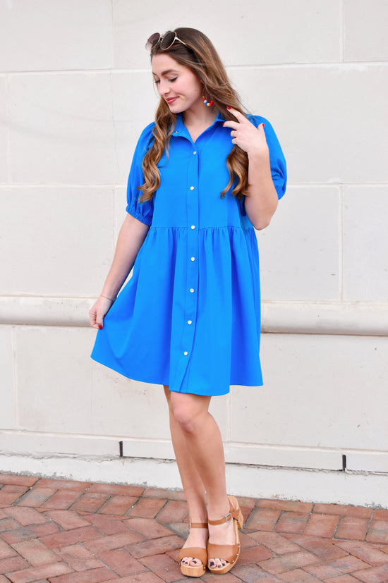 French Blue Collared Button Up Dress