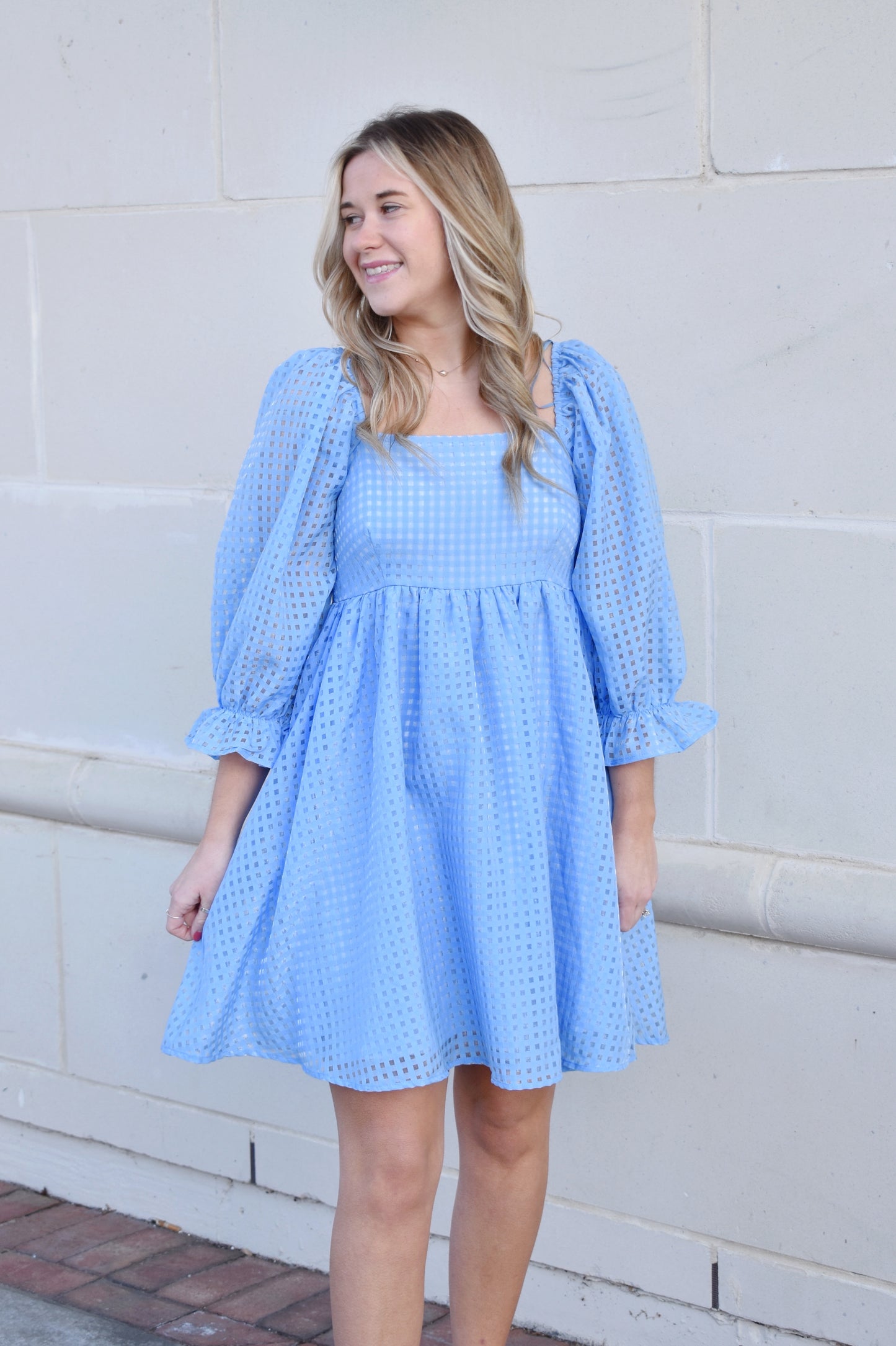 Load image into Gallery viewer, Brooke Blue Grid Print Babydoll Dress
