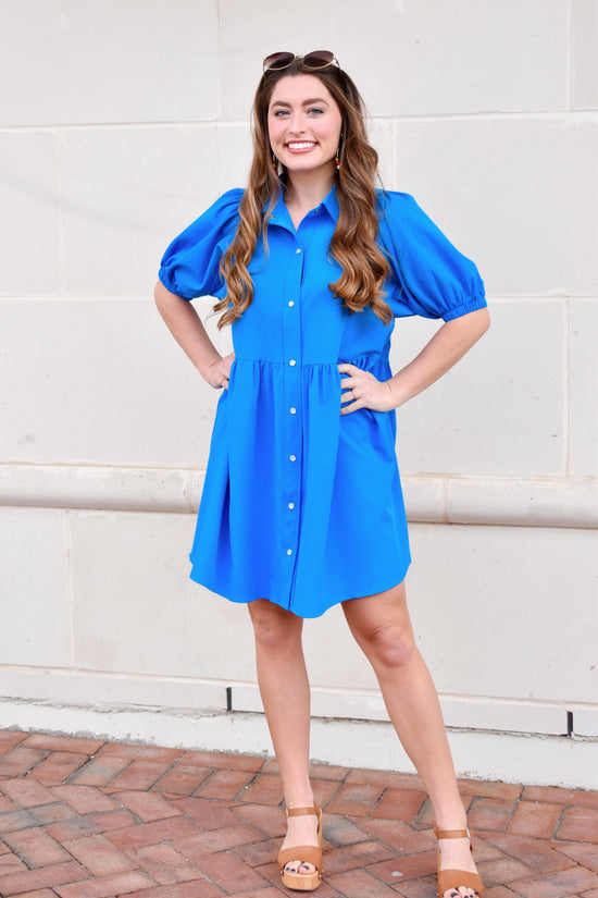 French Blue Collared Button Up Dress