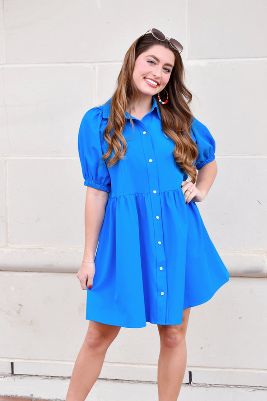 French Blue Collared Button Up Dress