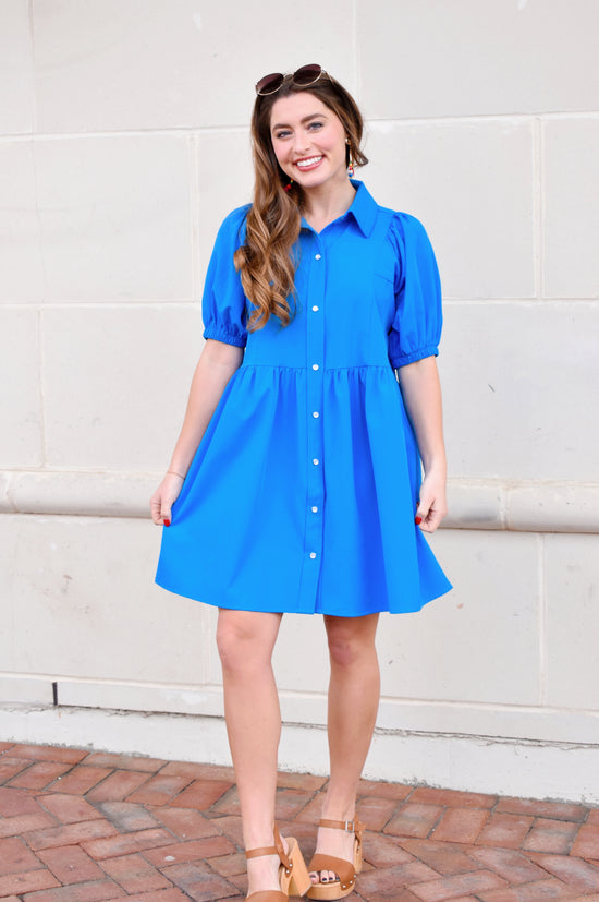 French Blue Collared Button Up Dress